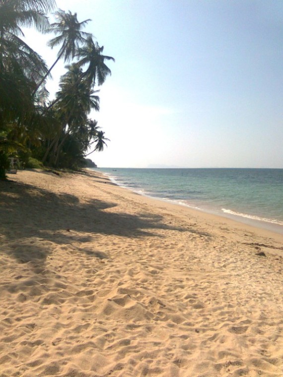 Lange Strandspaziergänge laden ein!